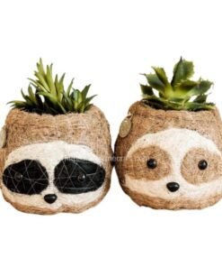 Coco Coir Pot, Planter For Table Top Decoration Viettimecraft Handicraft