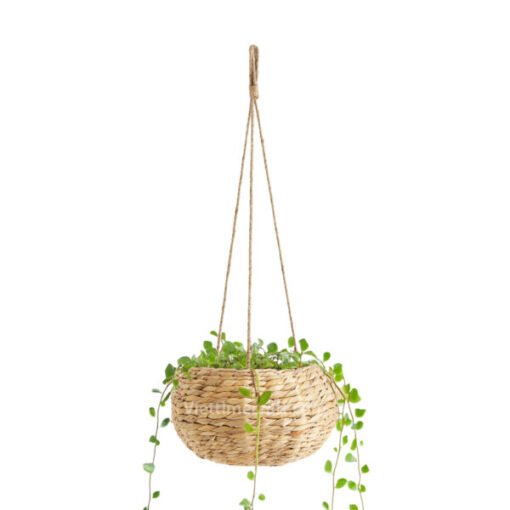 Water Hyacinth Planter Wholesale