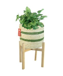 Water Hyacinth Planter With Wood Leg Home Decoration