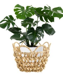 Viettimecraft - Braided Water Hyacinth Basket with Scalloped Edge Wholesale - Vietnam handicraft supplier