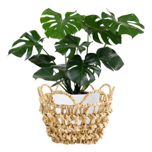 Viettimecraft - Braided Water Hyacinth Basket with Scalloped Edge Wholesale - Vietnam handicraft supplier