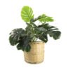 Viettimecraft - Natural Bamboo Planter Vietnam Wholesale - vietnam handicraft supplier