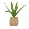 Viettimecraft - New Design Square Seagrass Planter With Plastic Pot Wholesale - vietnam handicraft supplier