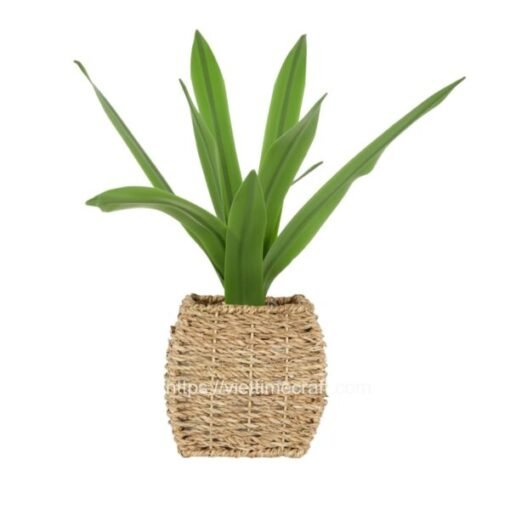 Viettimecraft - New Design Square Seagrass Planter With Plastic Pot Wholesale - vietnam handicraft supplier
