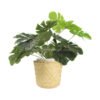 viettimecraft - Simple Design Bamboo Planter Basket Vietnam Wholesale - vietnam handicraft supplier