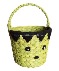 water hyacinth halloween basket hulk