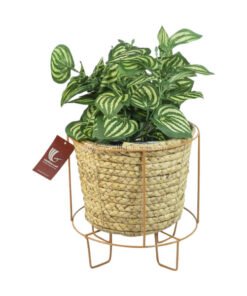 Water Hyacinth Planter/Storage Basket/ Flower Pot Wholesale - B00417