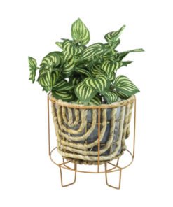 Water Hyacinth Planter With Metal Leg Home Decoration