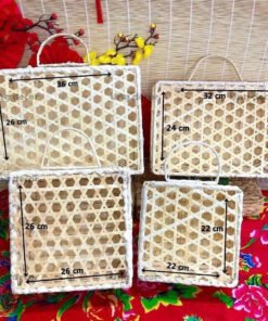 Hộp vali có tay xách - TRE0128